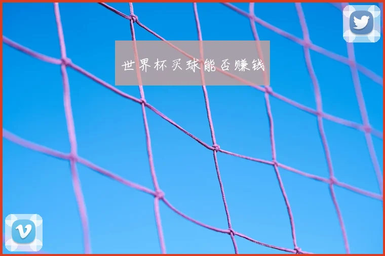 世界杯买球能否赚钱