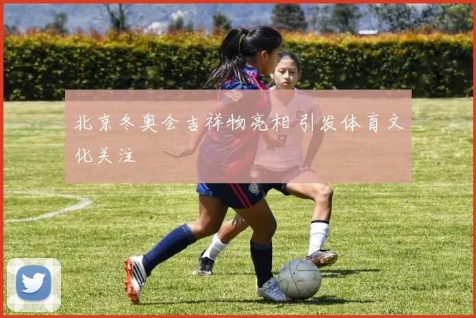 北京冬奥会吉祥物亮相 引发体育文化关注