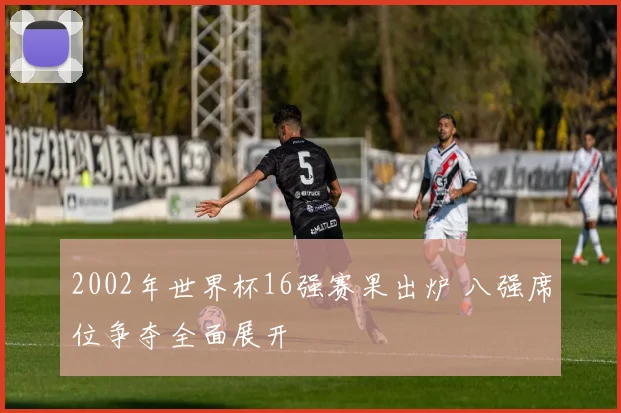 2002年世界杯16强赛果出炉 八强席位争夺全面展开