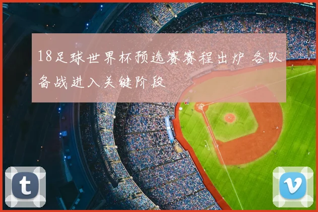 18足球世界杯预选赛赛程出炉 各队备战进入关键阶段