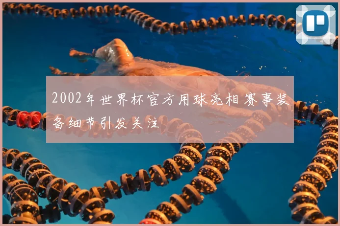 2002年世界杯官方用球亮相 赛事装备细节引发关注
