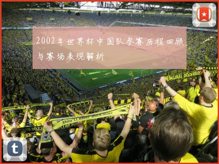 2002年世界杯中国队参赛历程回顾与赛场表现解析