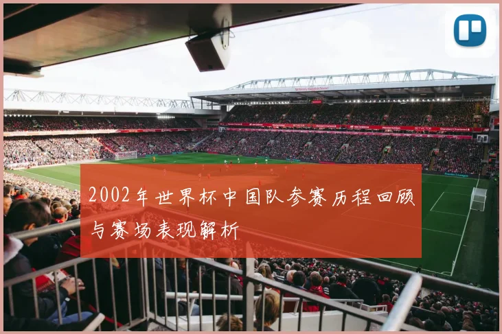 2002年世界杯中国队参赛历程回顾与赛场表现解析