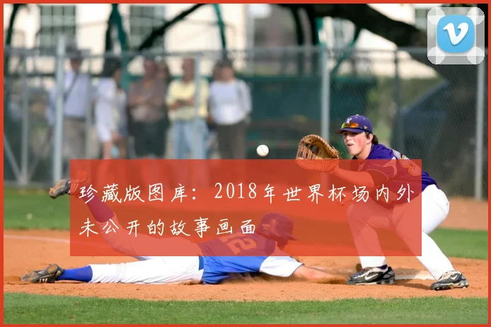 珍藏版图库：2018年世界杯场内外未公开的故事画面