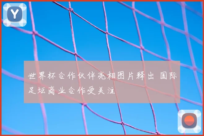 世界杯合作伙伴亮相图片释出 国际足坛商业合作受关注